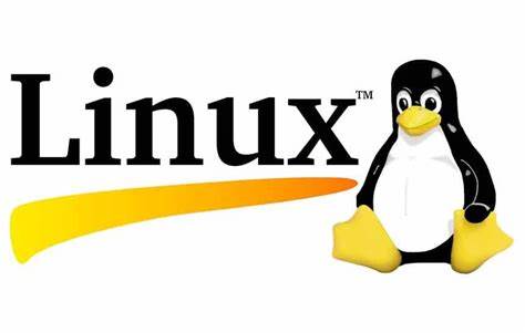 Linux服务器常用